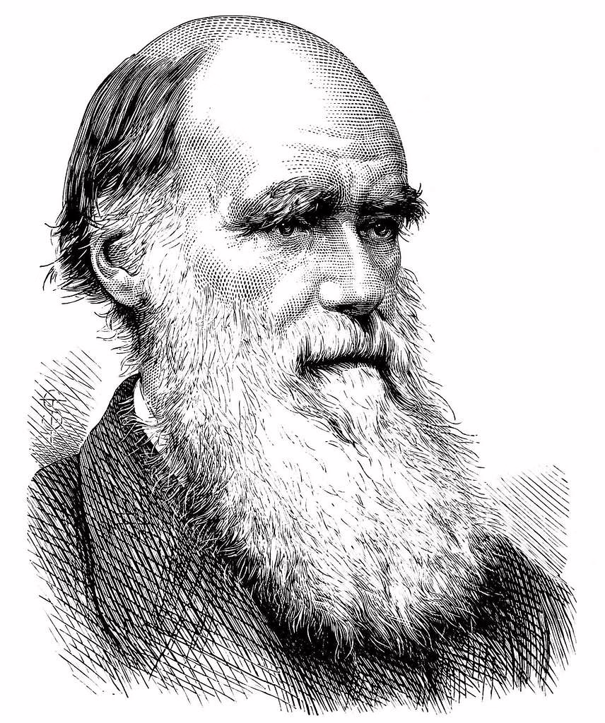 Disegno raffigurante Charles Darwin